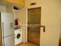 the-metz photo thumbnail #10